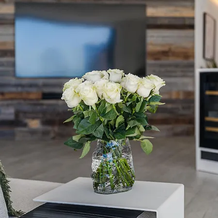 Appartement White Haven *